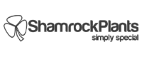 Shamrock Plants Logo – SCE Electrical