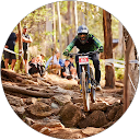 Aaron Cairns profile picture